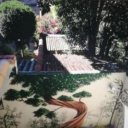 Suite Oisivete Avec Terrasse Vue Sur Patio Et Clim Montpellier Exteriör bild
